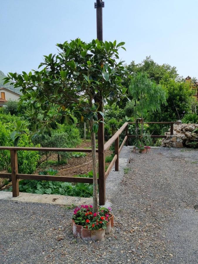 마라테아 Il Ruscello B&B 외부 사진