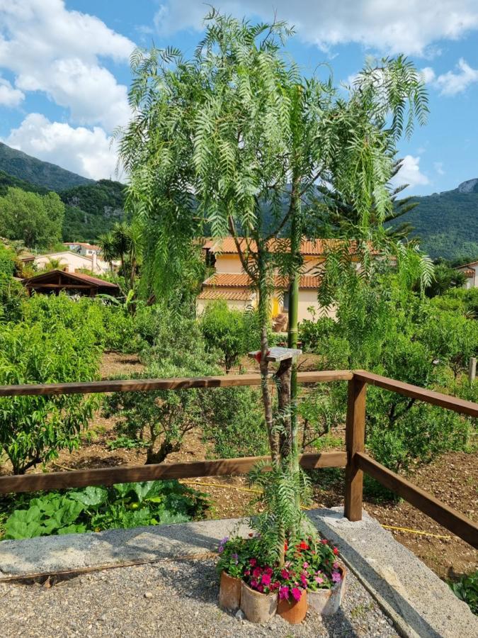마라테아 Il Ruscello B&B 외부 사진